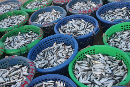 A memorable visit to Mui Ne fishing village